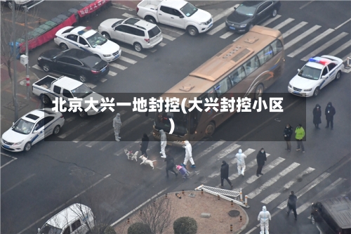 北京大兴一地封控(大兴封控小区)-第3张图片