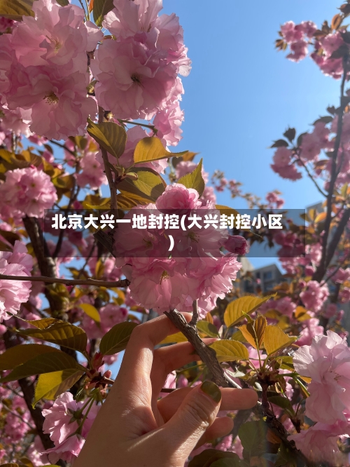 北京大兴一地封控(大兴封控小区)-第2张图片