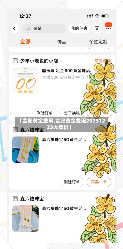 【合肥黄金费用,合肥黄金费用20251223大盘价】