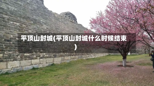 平顶山封城(平顶山封城什么时候结束)