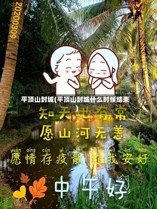 平顶山封城(平顶山封城什么时候结束)-第2张图片