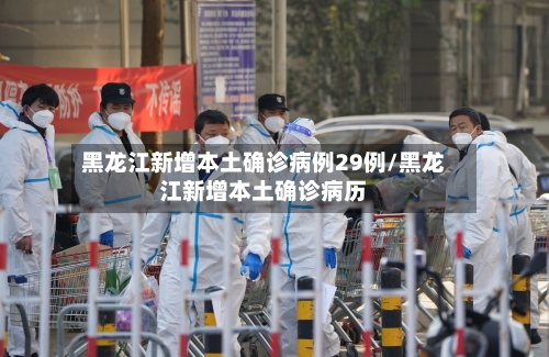 黑龙江新增本土确诊病例29例/黑龙江新增本土确诊病历-第2张图片