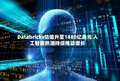 Databricks估值升至1880亿美元 人工智能热潮持续推动增长-第3张图片