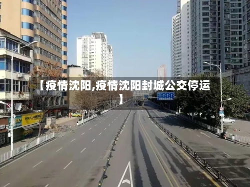 【疫情沈阳,疫情沈阳封城公交停运】