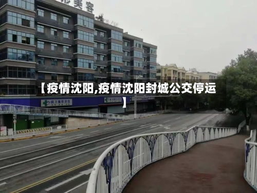 【疫情沈阳,疫情沈阳封城公交停运】-第3张图片