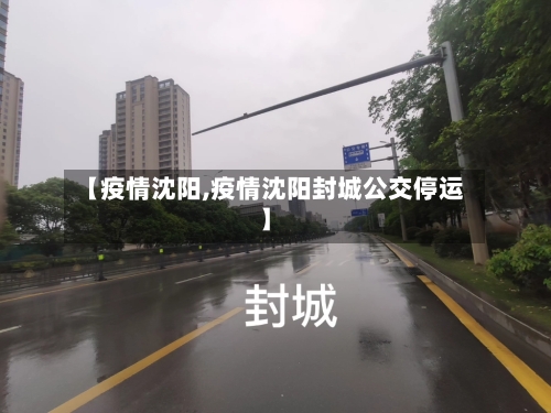 【疫情沈阳,疫情沈阳封城公交停运】-第2张图片