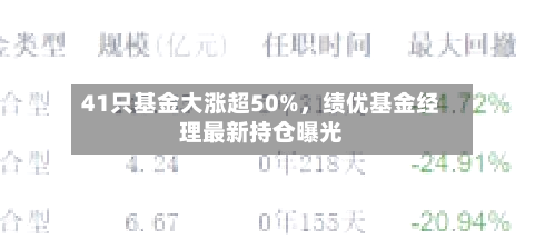 41只基金大涨超50%	，绩优基金经理最新持仓曝光-第3张图片