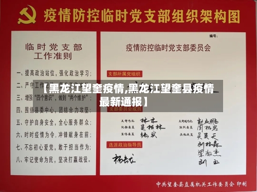 【黑龙江望奎疫情,黑龙江望奎县疫情最新通报】