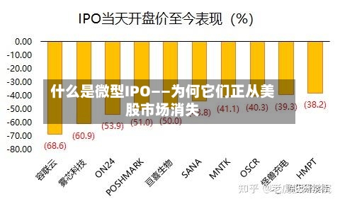 什么是微型IPO——为何它们正从美股市场消失-第2张图片