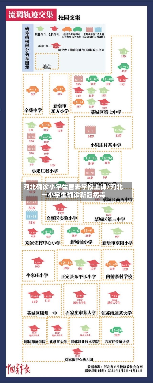 河北确诊小学生曾去学校上课/河北一小学生确诊新冠病毒