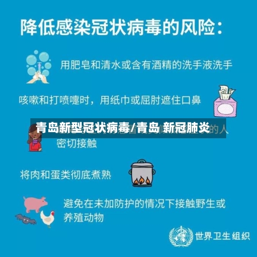 青岛新型冠状病毒/青岛 新冠肺炎-第3张图片