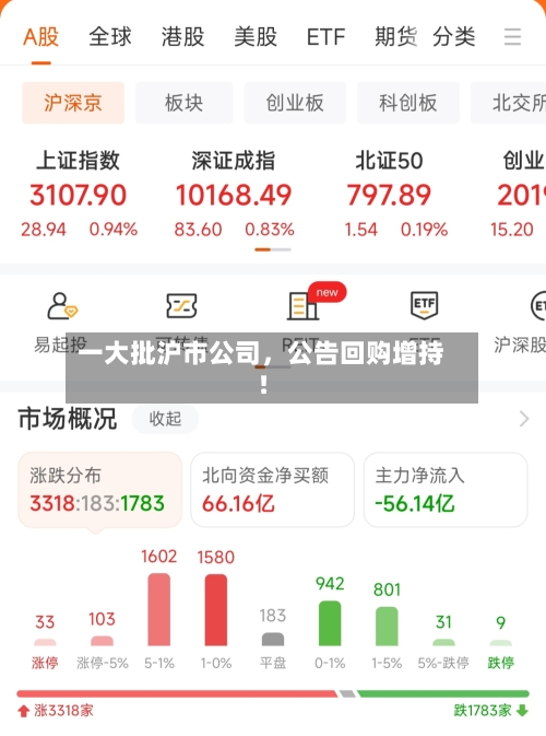 一大批沪市公司	，公告回购增持！-第3张图片