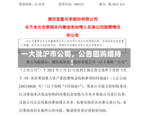 一大批沪市公司，公告回购增持！