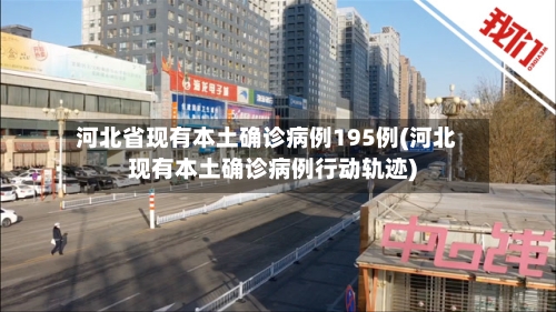 河北省现有本土确诊病例195例(河北现有本土确诊病例行动轨迹)-第2张图片