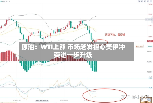 原油：WTI上涨 市场越发担心美伊冲突进一步升级