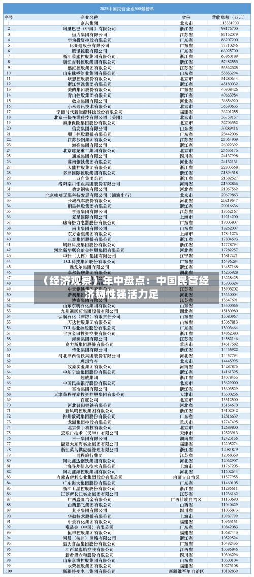 （经济观察）年中盘点：中国民营经济韧性强活力足