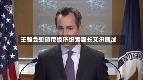 王毅会见印尼经济统筹部长艾尔朗加