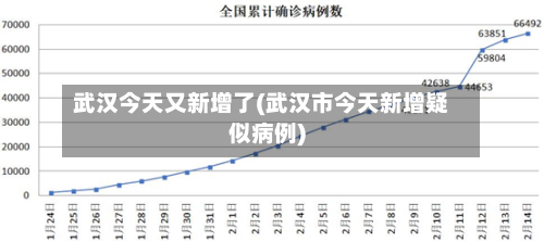 武汉今天又新增了(武汉市今天新增疑似病例)