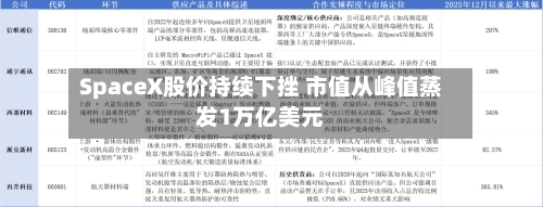SpaceX股价持续下挫 市值从峰值蒸发1万亿美元-第2张图片
