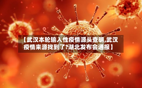 【武汉本轮输入性疫情源头查明,武汉疫情来源找到了?湖北发布会通报】-第2张图片