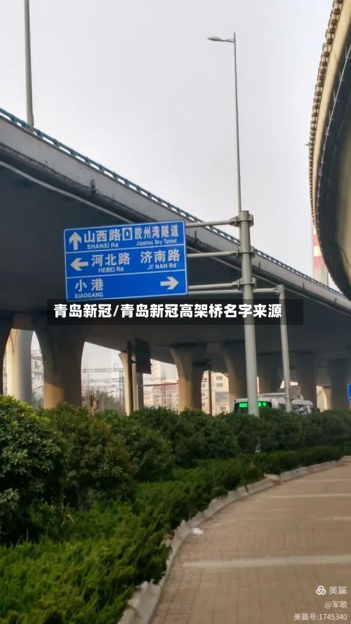 青岛新冠/青岛新冠高架桥名字来源