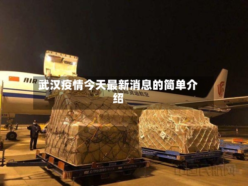 武汉疫情今天最新消息的简单介绍-第2张图片