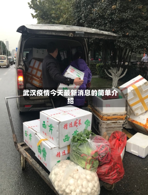 武汉疫情今天最新消息的简单介绍-第3张图片