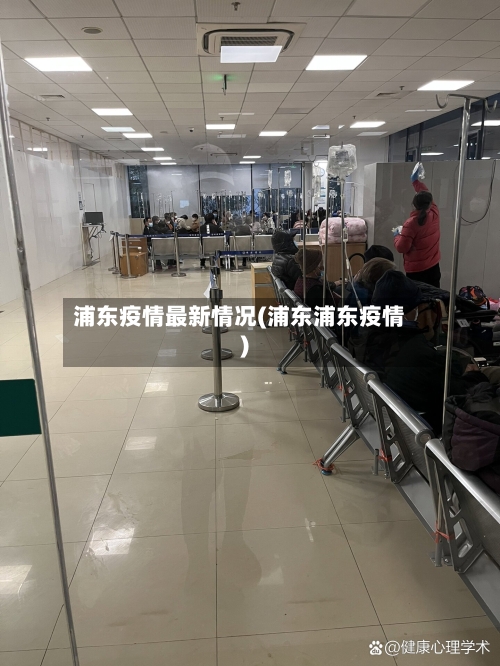 浦东疫情最新情况(浦东浦东疫情)-第2张图片