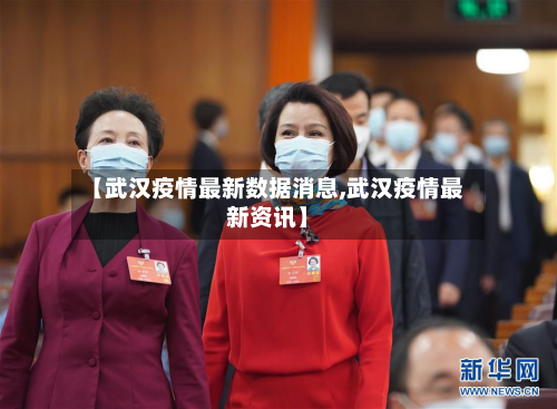 【武汉疫情最新数据消息,武汉疫情最新资讯】-第3张图片