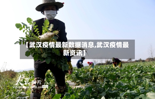 【武汉疫情最新数据消息,武汉疫情最新资讯】-第2张图片