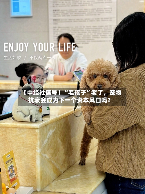 【中经社信号】“毛孩子”老了	，宠物抗衰会成为下一个资本风口吗？-第2张图片