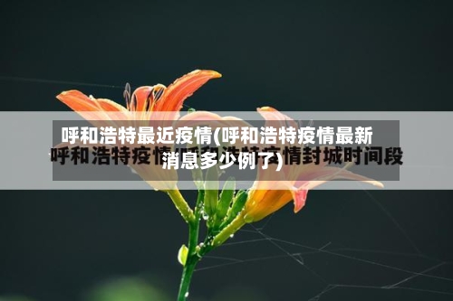 呼和浩特最近疫情(呼和浩特疫情最新消息多少例了)