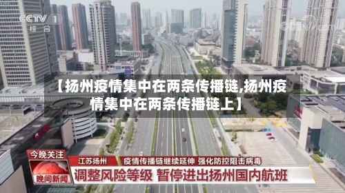 【扬州疫情集中在两条传播链,扬州疫情集中在两条传播链上】-第2张图片