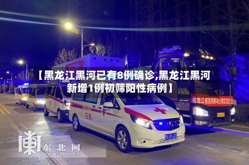 【黑龙江黑河已有8例确诊,黑龙江黑河新增1例初筛阳性病例】-第2张图片