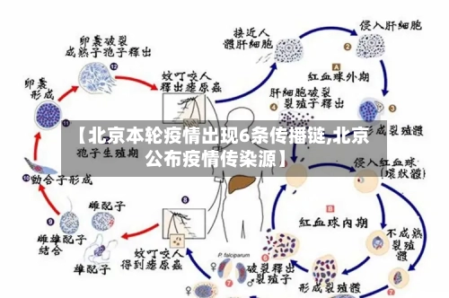 【北京本轮疫情出现6条传播链,北京公布疫情传染源】