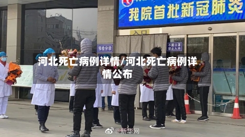 河北死亡病例详情/河北死亡病例详情公布-第2张图片