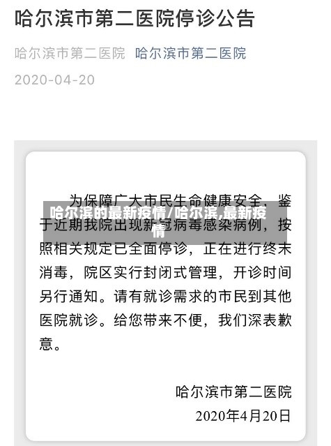 哈尔滨的最新疫情/哈尔滨,最新疫情-第2张图片