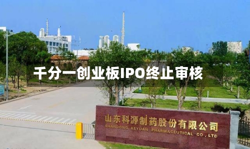 千分一创业板IPO终止审核-第2张图片