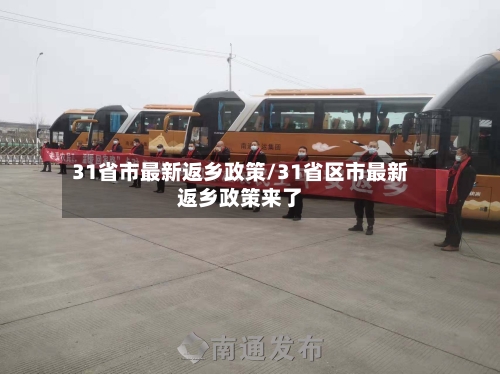 31省市最新返乡政策/31省区市最新返乡政策来了