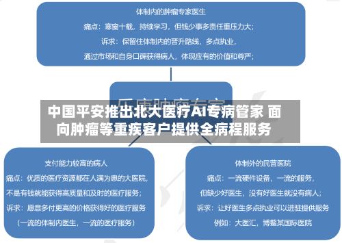 中国平安推出北大医疗AI专病管家 面向肿瘤等重疾客户提供全病程服务