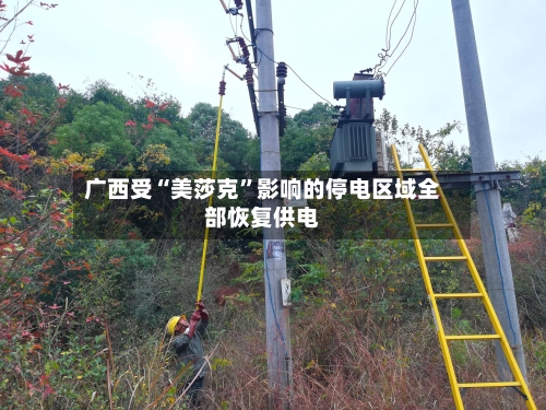 广西受“美莎克	”影响的停电区域全部恢复供电-第2张图片