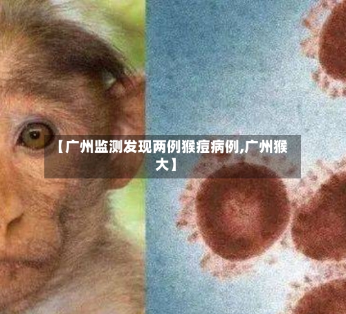 【广州监测发现两例猴痘病例,广州猴大】-第2张图片