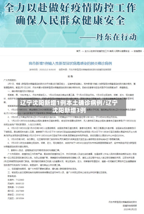 辽宁沈阳新增1例本土确诊病例/辽宁沈阳新增3例-第2张图片