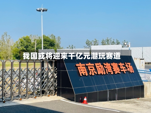 我国或将迎来千亿元潮玩赛道