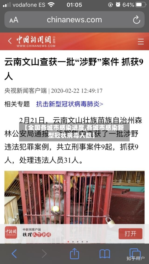 【全国各城市感染进度,各城市感染新型冠状病毒人数】-第2张图片