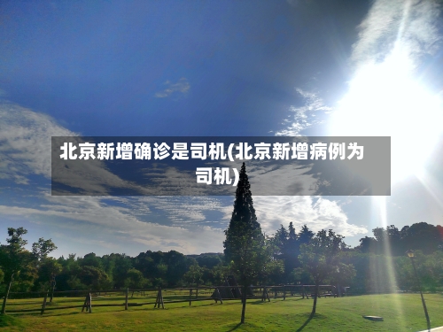 北京新增确诊是司机(北京新增病例为司机)