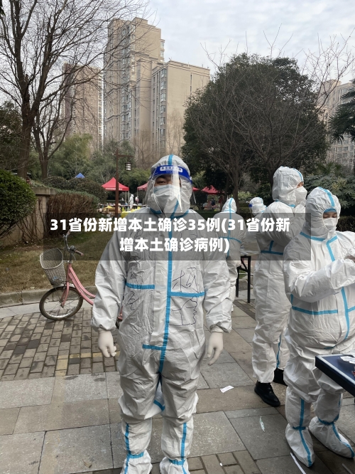 31省份新增本土确诊35例(31省份新增本土确诊病例)