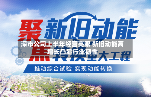 深市公司上半年经营亮眼 新旧动能高增长凸显行业韧性-第3张图片