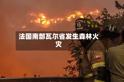 法国南部瓦尔省发生森林火灾-第3张图片