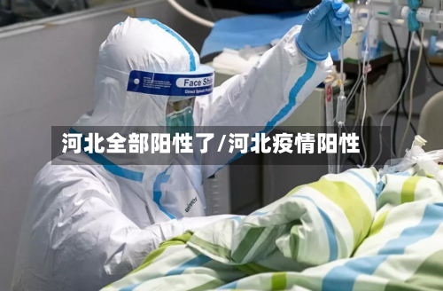 河北全部阳性了/河北疫情阳性-第2张图片
